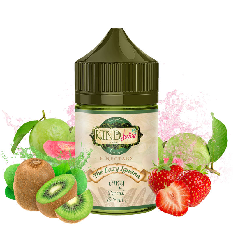 TheLazyIguanaV2_1200x1200